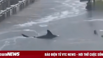 Công nghệ 30/10: Video AI giả mạo bão Melissa gây hoang mang