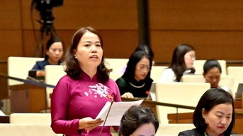 Tăng hiệu quả Quỹ Phát triển doanh nghiệp nhỏ và vừa hướng tới doanh nghiệp địa phương phát triển