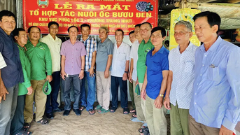 Nhiều giải pháp hỗ trợ hội viên nông dân nâng cao đời sống