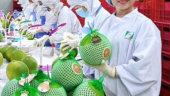 Khát vọng vươn lên của các nữ doanh nhân