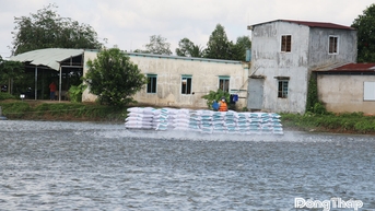ឃុំ Tan Khanh Trung៖ ឆ្ពោះទៅរកការអភិវឌ្ឍន៍កសិកម្មបៃតង និងនិរន្តរភាព