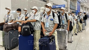 Hơn 121.000 lao động Việt Nam đi làm việc ở nước ngoài