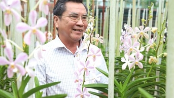 Lão nông làm giàu từ cây lan Mokara