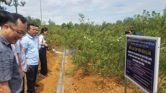 Để Phong Điền trở thành vùng trọng điểm dược liệu của Huế