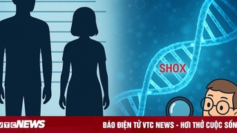 Hé lộ mã gen có thể là nguyên nhân khiến đàn ông cao hơn phụ nữ