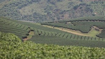 Sơn La đón hơn 4,6 triệu lượt khách du lịch