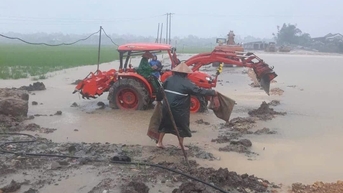 Thiệt hại nặng nề, ngành nông nghiệp cần hỗ trợ khẩn cấp cây, con giống