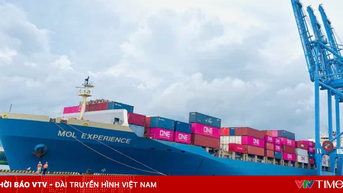 Tân Cảng – Cái Mép đón chuyến tàu đầu tiên kết nối Việt Nam – Brazil