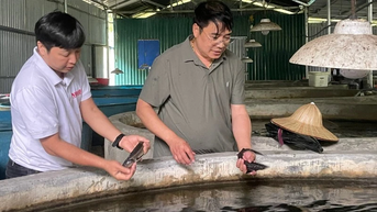 Cần xây dựng thương hiệu cho cá nước lạnh Lai Châu