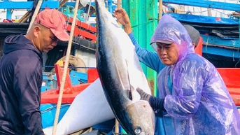 Đắk Lắk quyết tâm cấp phép 100% tàu cá đủ điều kiện trước 30/10