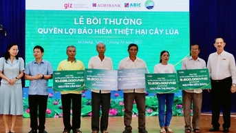 Bảo hiểm Agribank chi trả bảo hiểm cây lúa cho nông dân An Giang
