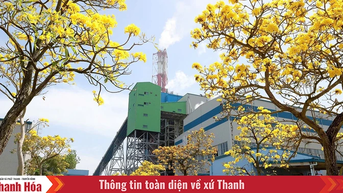 Nhiệt điện Nghi Sơn bảo đảm cung ứng điện an toàn, ổn định cuối năm 2025 và giai đoạn 2026-2030