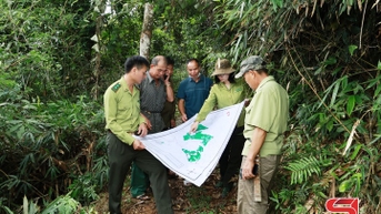 Giữ màu xanh quý giá của rừng