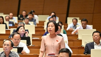 Đại biểu Quốc hội Phạm Thị Thanh Mai: Tình trạng gian lận, trốn thuế đáng báo động