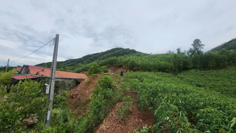 Quảng Trị: Công bố tình huống khẩn cấp, di dời 1 trường học và 53 hộ dân