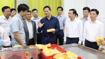 Chủ tịch UBND tỉnh Vương Quốc Tuấn thăm, làm việc tại một số doanh nghiệp chế biến nông sản