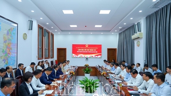 Tập đoàn T&T đề xuất đầu tư một số dự án trên địa bàn tỉnh Khánh Hòa