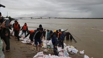 Đà Nẵng chỉ đạo tập trung khắc phục thiệt hại do mưa lũ lớn