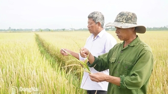 Xã Sông Ray: Đưa nghị quyết vào cuộc sống bằng việc làm cụ thể, thiết thực