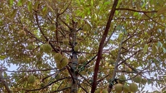 Truy xuất nguồn gốc sản phẩm, tạo niềm tin khách hàng