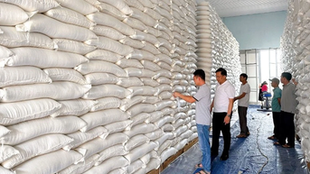 Hơn 700 tấn gạo và hàng cứu trợ quốc gia được xuất cấp khẩn cấp cho Tuyên Quang và Quảng Ngãi