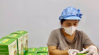 Phát triển kinh tế tập thể, tạo sinh kế bền vững