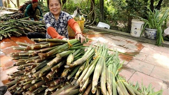 'Đặc sản' đồng quê dân dã, hút khách thị trường miền Bắc