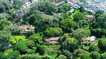 TP. Hồ Chí Minh: Xây dựng công viên cây xanh tại khu đất số 01 đường Lý Thái Tổ