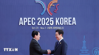 Chủ tịch nước Lương Cường dự Hội nghị Cấp cao APEC lần thứ 32