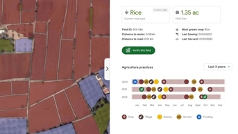 Google số hóa từng thửa ruộng tại Việt Nam từ vệ tinh