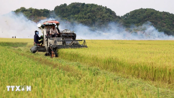 Dự thảo văn kiện Đại hội Đảng XIV : Đề xuất cơ chế đột phá, nâng tầm “tam nông”