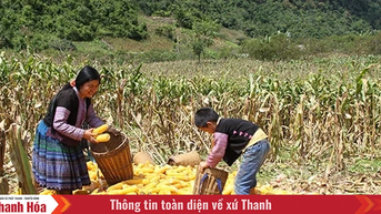 “Cõng” vốn lên non