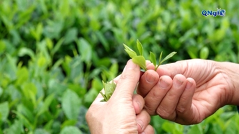 Nông nghiệp tuần hoàn gắn với du lịch trải nghiệm ở nông thôn