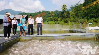 Vốn vay chính sách: Trao cơ hội, tiếp sức người dân làm giàu