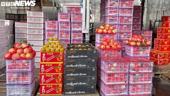 Trái cây nhập ngoại giá rẻ bày bán tràn lan