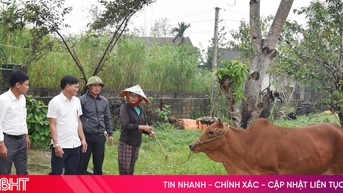 Hỗ trợ mô hình sinh kế giúp người dân xã Lộc Hà thoát nghèo