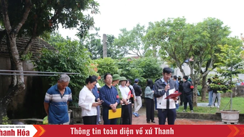 Cưỡng chế thu hồi đất phục vụ dự án đường nối KCN Bỉm Sơn – ven biển qua xã Nga Sơn