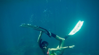 Giữ rừng xanh, biển sạch để phát triển du lịch bền vững