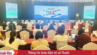 Tận dụng hiệu quả Hiệp định RCEP để mở rộng xuất khẩu các mặt hàng chiến lược của địa phương