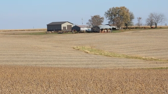 Trung Quốc cam kết mua 75 triệu tấn đậu nành Mỹ trong 3 năm tới