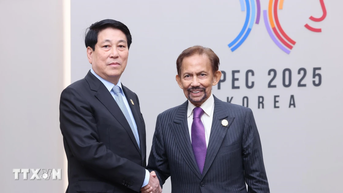 Chủ tịch nước Lương Cường gặp Quốc vương Brunei