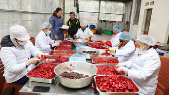 Thương mại điện tử: Giúp khu vực kinh tế tư nhân tăng sức cạnh tranh