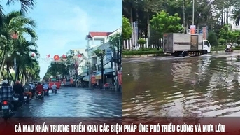 Cà Mau khẩn trương triển khai các biện pháp ứng phó triều cường và mưa lớn