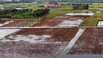 សម្របខ្លួនយ៉ាងសកម្មទៅនឹងការប្រែប្រួលអាកាសធាតុ និងអភិវឌ្ឍសេដ្ឋកិច្ចដែលមានកាបូនទាប