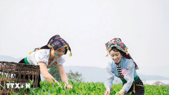 Dự thảo văn kiện Đại hội XIV: Quan tâm phát triển toàn diện vùng dân tộc thiểu số