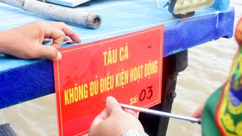 Xử lý thêm 5 tàu cá vi phạm quy định khai thác hải sản