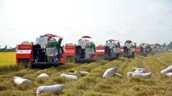 Nhìn lại chặng đường 80 năm xây dựng, phát triển ngành nông nghiệp và môi trường