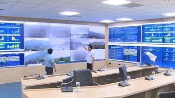 Hội nghị giao ban về tăng cường triển khai phát triển hạ tầng số trên địa bàn tỉnh