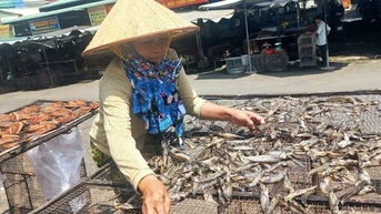 Vào mùa làm khô cá đồng