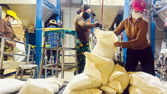 Hỗ trợ doanh nghiệp tham gia thực hiện hợp đồng xuất khẩu gạo sang Senegal